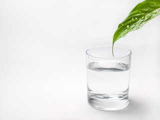 glass of fresh water and green leaf with drops of water
