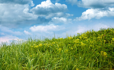 Saftig grüne Wiese mit einem schönen blauen Himmel und Wolken - Relax! 