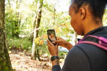 Black woman takes picture of leaves in woods for research