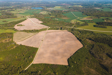 Brassica napus rapsis view look from above drone shot aerial rapeseed field yellow patches fields Latvia forest roads plowed  © Nauris