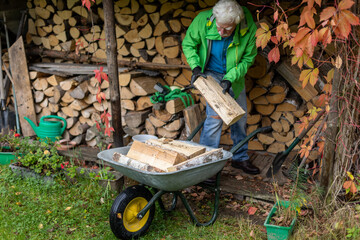 Senior man collecting the heavy pieces of firewood and putting it on the wheelbarrow.