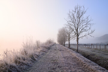 Sunrise next to an icy path in winter with two little people standing at the end. On the side a pasture with cattle.