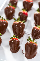 Chocolate dipped strawberries