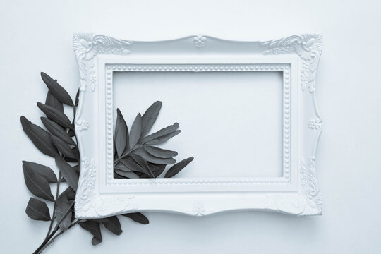black and white photo, white photo frame on a white background and under it a bush branch