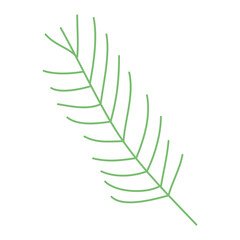 pines leaf icon isolated vector design
