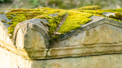 Fototapeta premium Close-up of a small architectural building covered with moss