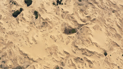 Aerial View of the Textures and Patterns of the Desert Sands. Beautiful landscape . Desert and green bushes