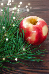A ripe red-yellow apple lies on a dark wooden surface next to a green pine branch. Healthy eating concept during the winter holidays. Close up. Top view