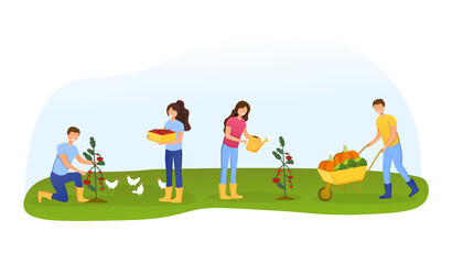 Obraz na płótnie Canvas Men and women farmers or gardeners planting, caring and picking tomato harvest. Happy gorup of people harvesting ripe vegetables in summer garden. Cartoon flat vector illustration
