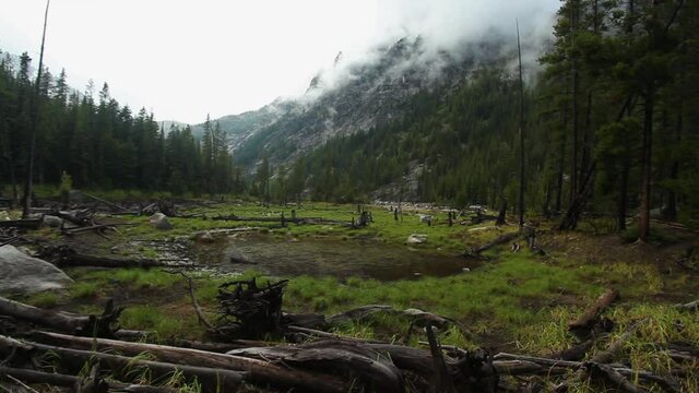 Wide, open field near forest in The Enchantments