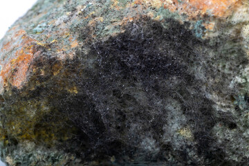 Studio lighting. a piece of white bread on a white background. Moldy. Macro photography. Close-up. Soft focus.