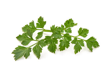 Fresh organic parsley, isolated on a white background