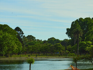 arboles en los lago de palermo