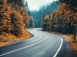 Road in autumn foggy forest in rainy day. Beautiful mountain roadway, trees with orange foliage in...