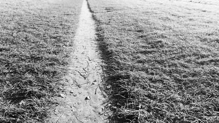 Monochromatic perspective of a straight path on the grass. With copy-space