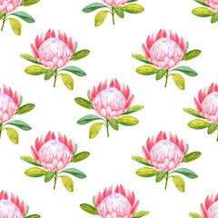 Fototapeta na wymiar Seamless pattern with watercolor flowers on a white background. Protea pattern.