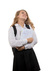 Young beautiful longhaired college girl with papers