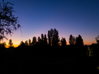 Fototapeta premium Atardecer con silueta de árboles