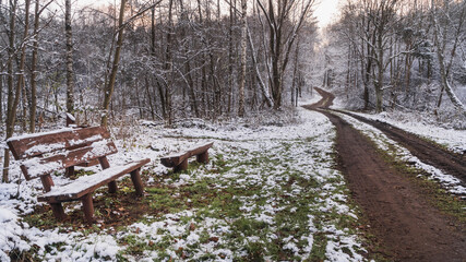 Ławka przy drodze w środku lasu zimą