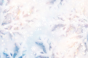 Snow covered fir branch on a winter background.