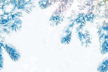 Snow covered fir branch on a winter background.