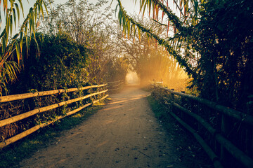 Sandpath walkway with wooden fence on a sunrise landscape yellow sun shining