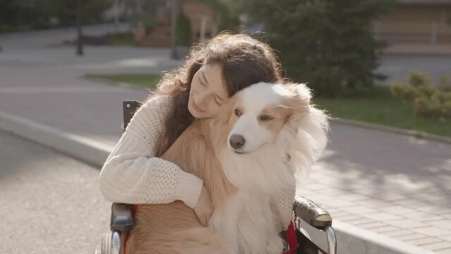 Portrait of disabled happy young woman in wheelchair with her guide dog. Asian handicapped girl with paralysis kissing her doggy living full life. Outdoor summer shot. 6k downscale 10 bit color.