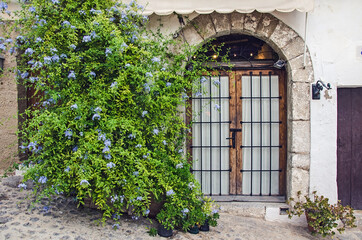 Beautiful flowers on the facade of the house in Ibiza, Spain