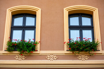 Fototapeta na wymiar Windows with flowers, full of life 