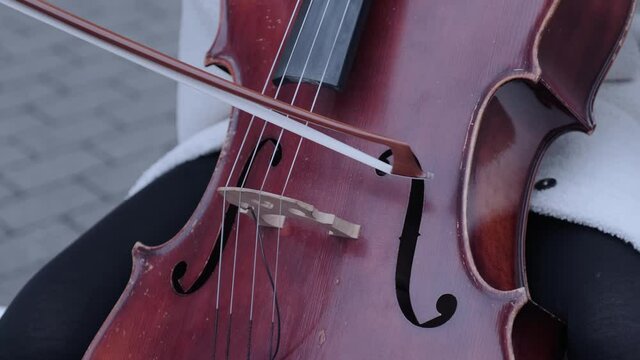 Close-up of man plays the cello in the dark. Musical instrument cello. Men's hands playing the instrument.