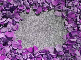 Purple autumn leaves frame with copy space