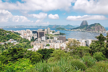 Obraz premium Nice view on the city Rio de Janeiro from the mountain