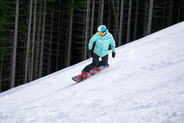 Snowboarder freerider in helmet sliding down the hill in forest on mountains, winter active sport
