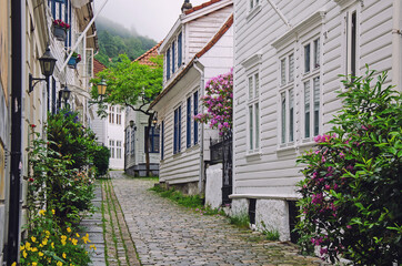 Fototapeta na wymiar A lot of flowers on the street of wooden houses in Bergen, Norway