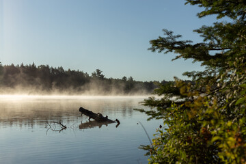 Morning Fog rolling over Lake
