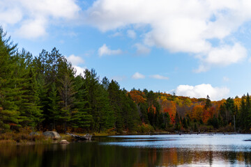 Autumn Trees by a Lake