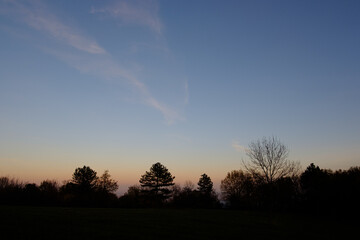 Fototapeta na wymiar Sunset over the trees