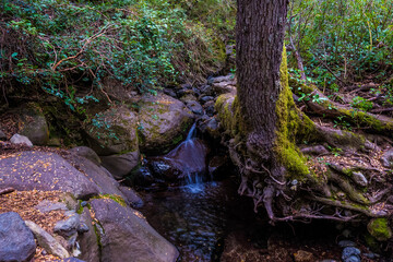 Pequeña cascada