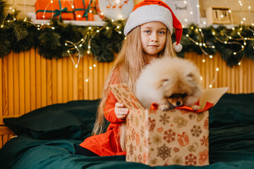 Beautiful girl in Santa hat got a puppy as present for New Year, Christmas magic and miracle, dreams come true