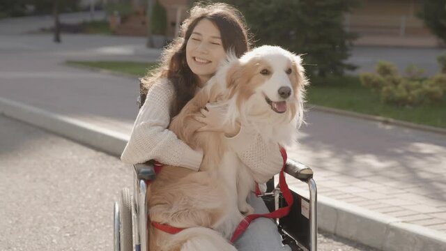 Asian handicapped girl with paralysis living full life. Portrait of disabled happy young woman in wheelchair with her guide dog looking at camera. Outdoor summer shot. 6k downscale 10 bit color.