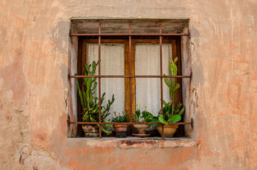 Ancient window with flowers in pot, Italy Tuscany 