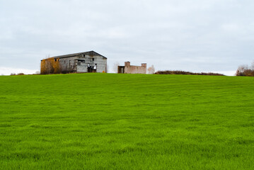 Obraz premium field with green grass. in the background is an Elevator. rural landscape