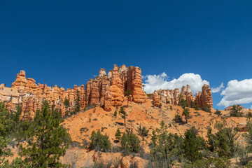 Fototapeta premium Mossy Cave Trail, Utah, USA