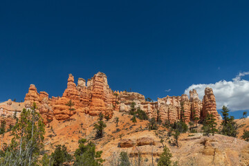 Mossy Cave Trail, Utah, USA