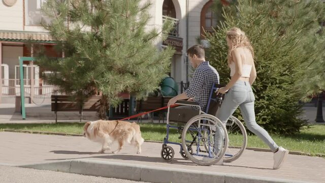 Young woman with dog riding her disabled invalid handicapped boyfriend on wheelchair along the street. Happy couple spending time outdoors on lovely sunny day. 6k downscale 10 bit color.