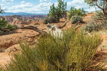 Kodachrome Basin State Park, Utah, USA