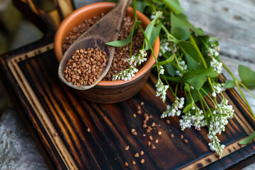 Buckwheat seeds in wooden spoon on a brown wooden table. Flowering Buckwheat Plants with white flowers on a cutting board.