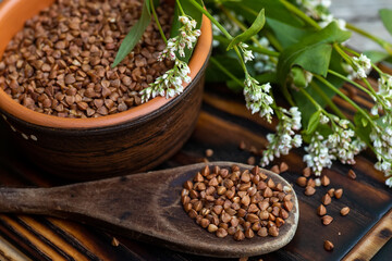 Dry buckwheat in an ecological wooden spoon. Food vegans gluten-free diet.