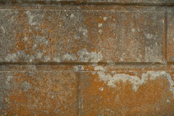 cold spring day in Japan