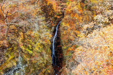 吾妻峡の秋